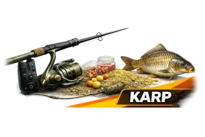 Karp